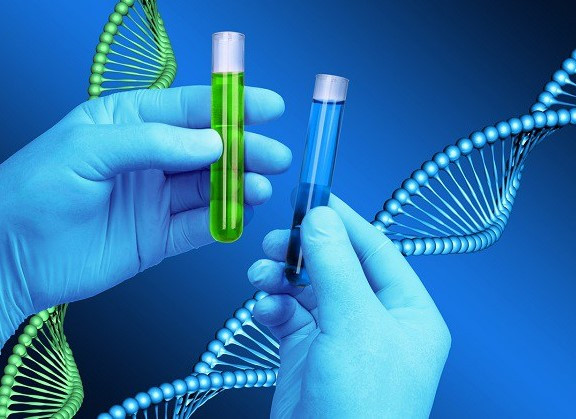 DNA Testing Dubai