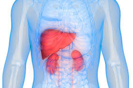 Kidney & Liver Function Profile Test