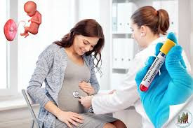 (HPL) High-Purity Human Placental Lactogen