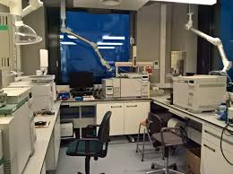 Organic Acid Quantification (GC/MS)