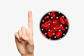 Insulin Resistance Profile Test
